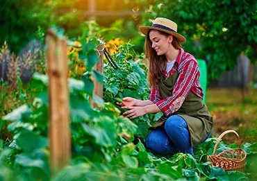 Is Drone Farming the Future of Agriculture?