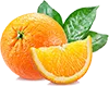 alefox