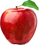 alefox