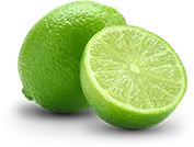 alefox
