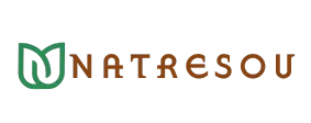 Aidsys-html
