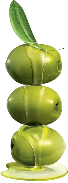 shape