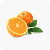 Short Product Img