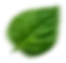 shape