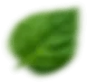shape